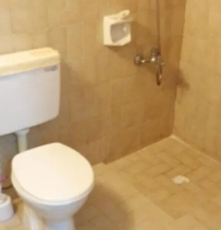 Aparthotel Cozmina Apart *